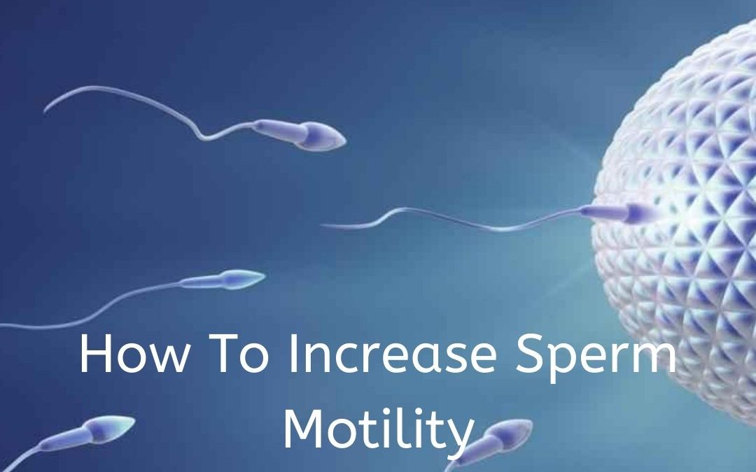 HOW TO INCREASE SPERM MOTILITY Lal Clinic