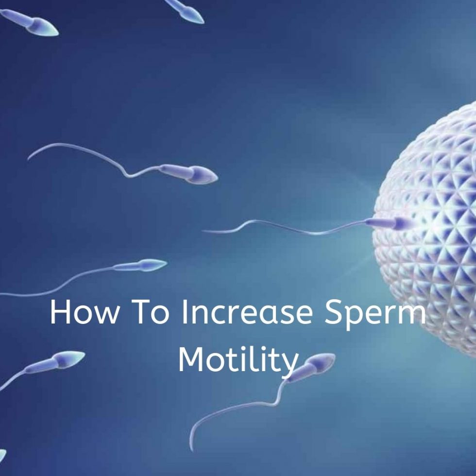 How To Increase Sperm Motility Lal Clinic 