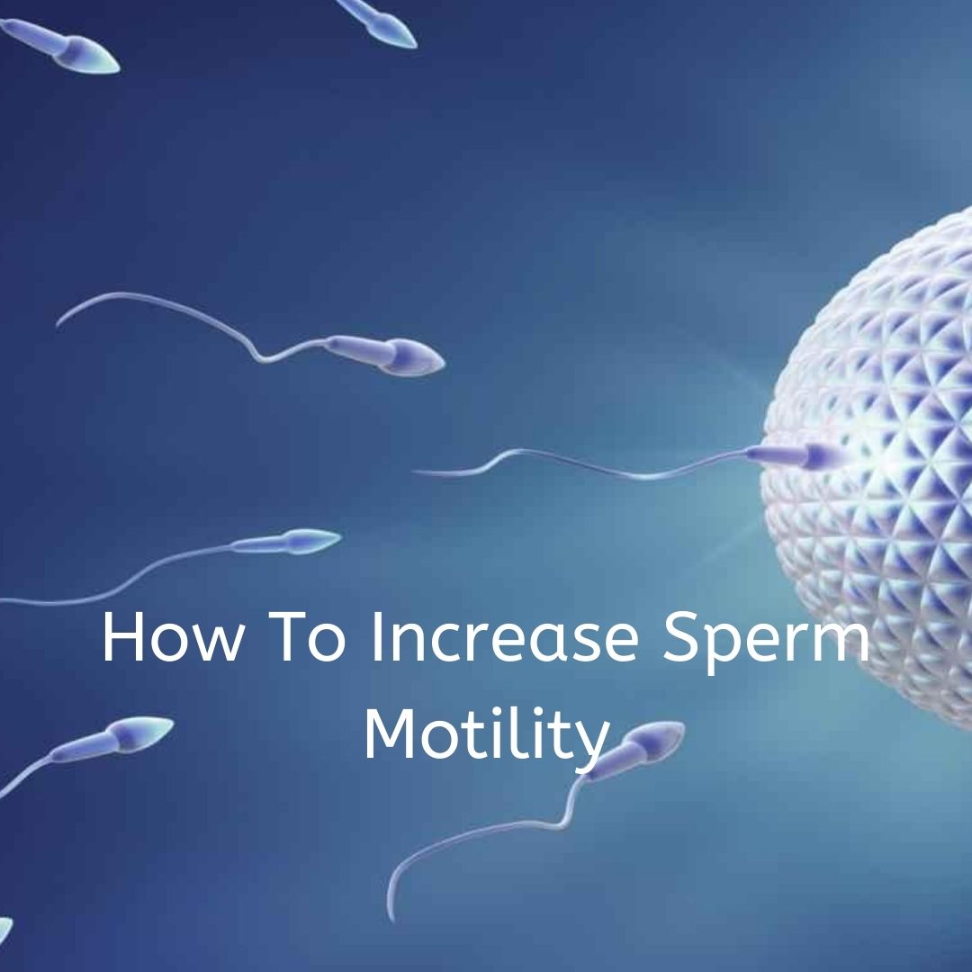 how-to-increase-sperm-motility-lal-clinic