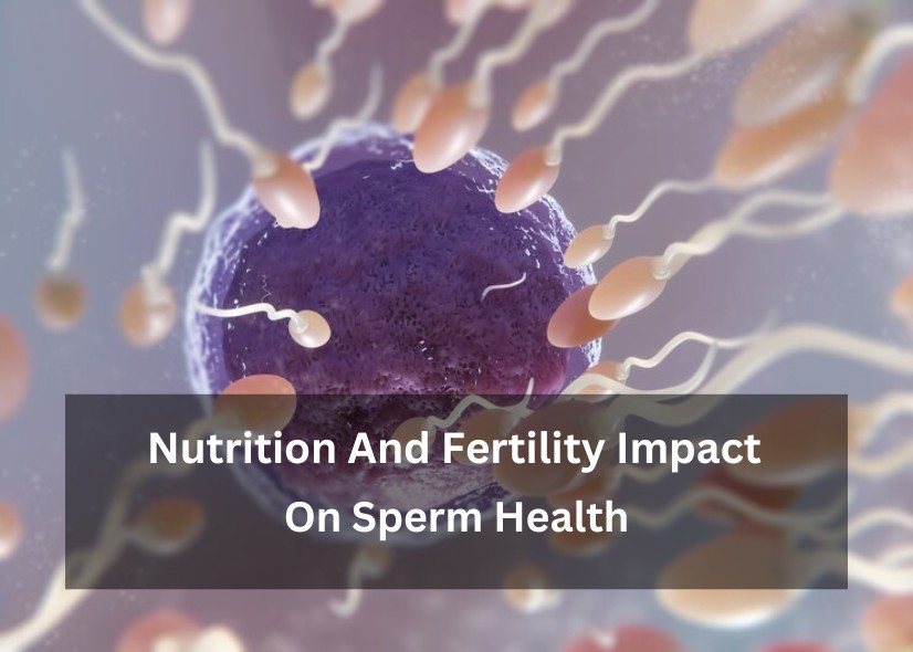 Nutrition And Fertility Impact On Sperm Health