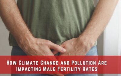 How Climate Change and Pollution Are Impacting Male Fertility Rates